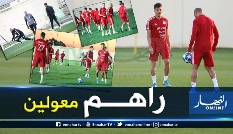 “بلماضي” يضع آخر اللمسات قبل ودية الكونغو الديمقراطية