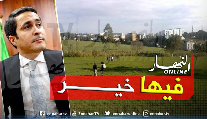 وزير الرياضة يسترجع ميدان “الغولف” من مجمع “سوناطراك”