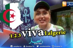 بالفيديو..الجالية الجزائرية بمصر تنتظر وصول المنتخب الجزائري بشغق كبير