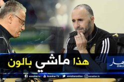 بلماضي: “تدخلات لاعبي بوتسوانا لا علاقة لها بكرة القدم”