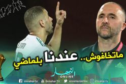 سليماني: “بوجود بلماضي ..لست قلقا من مواجهة نيجيريا”