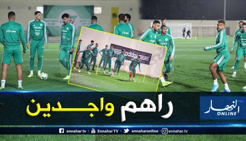 بالصور.. “الخضر” يُجرون آخر حصة تدريبية قبل مواجهة زامبيا