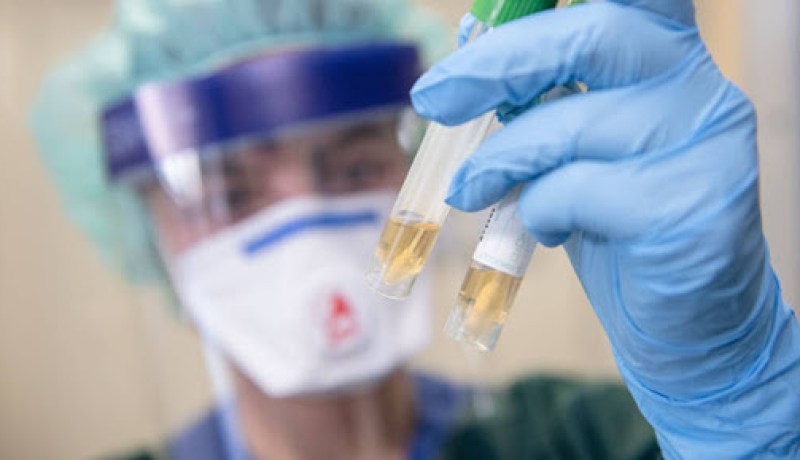 تايلاند تنجح في إنقاد حياة 8 مصابين بالكورونا