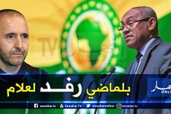 أحمد أحمد: “بلماضي قام بعمل رائع رفعها إلى أعلى المراتب في إفريقيا”