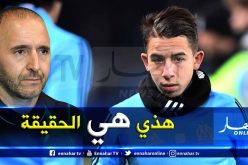 بالفيديو.. “بلماضي” يكشف حقيقة التحاق  نجم مارسيليا بالخضر