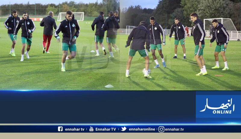 بالفيديو.. الخضر يُجرون أول حصة تدريبية بليل