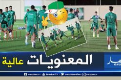 الخضر يواصلون تحضيراتهم لمواجهة الكونغو الديمقراطية