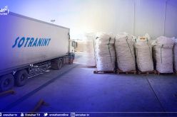 الوادي: انطلاق أول شحنة تصدير للبطاطا نحو إسبانيا