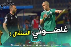 فغولي:” أنا حزين على منتخب السنغال لأنني لأملك العديد من الأصدقاء السنغاليين”