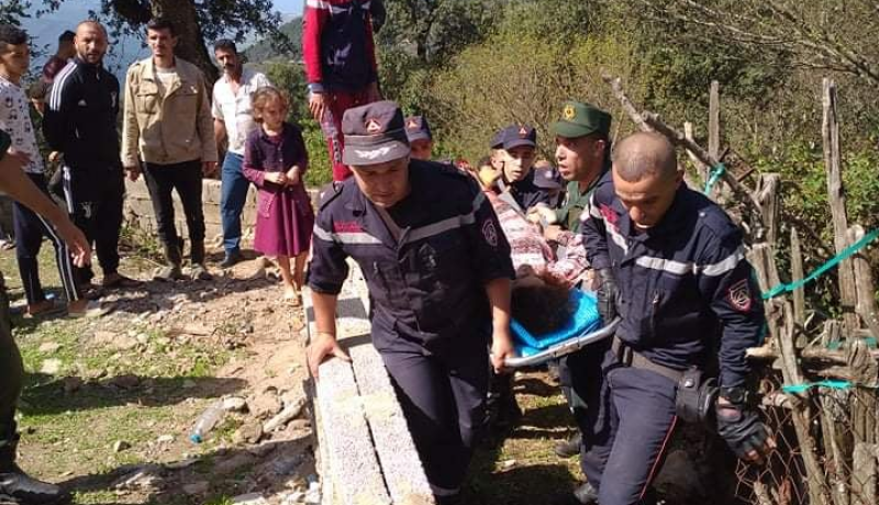 العثور على السيدة المفقودة في غابة بسكيكدة