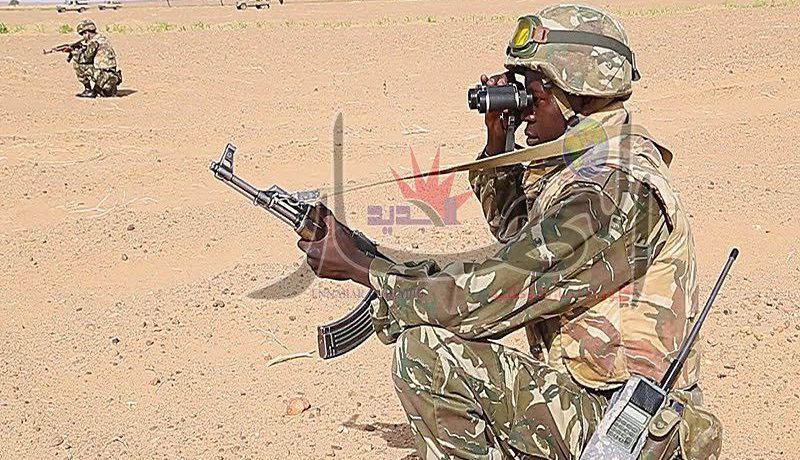 القضاء على مهرب في أدرار واكتشاف كازمة معبأة بالأسلحة والأدوية في سكيكدة