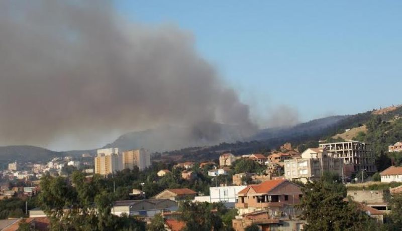 بالفيديو حريق مهول في غابة عزازقة بتيزي وزو