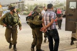 الإحتلال الإسرائيلي يعتقل 14 فلسطينيا من جنين والقدس