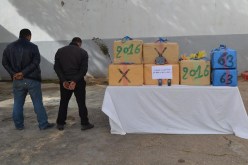 حجز قرابة 36.4 طن من الكيف بتلمسان خلال سنة 2016