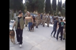 بالفيديو أعوان أمن يحاصرون طلبة محتجّين بالكلاب المدرّبة ويرشقونهم بالحجارة