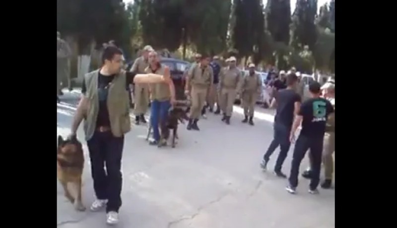 بالفيديو أعوان أمن يحاصرون طلبة محتجّين بالكلاب المدرّبة ويرشقونهم بالحجارة