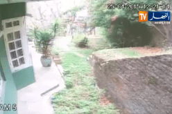 بالفيديو لحظة وقوع الهزة الارضية في نيبال