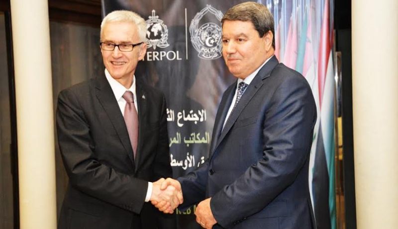 اللواء هامل يلتقي الأمين العام لمنظمة الأنتربول