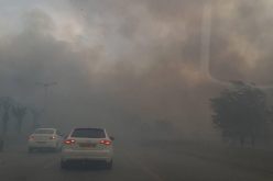 بالفيديو حريق مهول يلتهم مساحات خضراء في فضاء دنيا بارك بالعاصمة