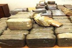 حجز أكثر من 55 طن من القنب الهندي خلال 5 أشهر الأولى لسنة 2015