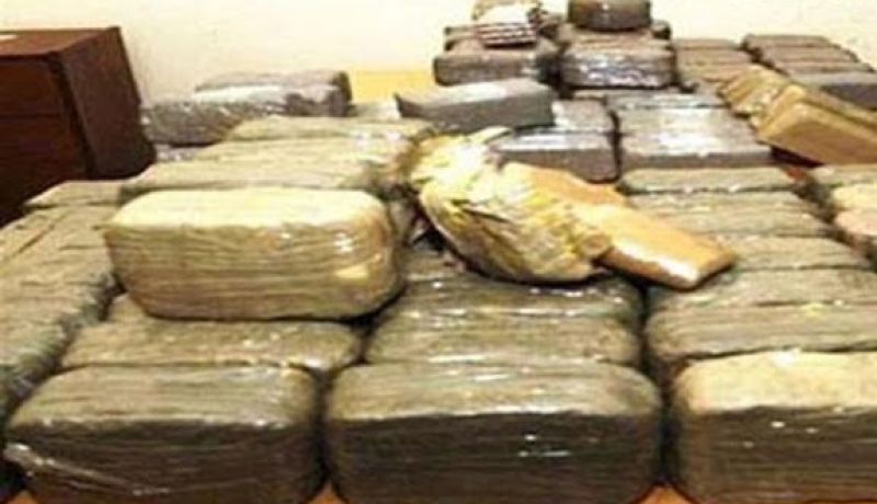 حجز أكثر من 55 طن من القنب الهندي خلال 5 أشهر الأولى لسنة 2015