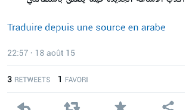 بن غبريط تفند اشاعة جديدة تحدثت عن استقالتها