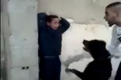 فيديو آخر لشاب يحرض كلب على نهش طفل صغير