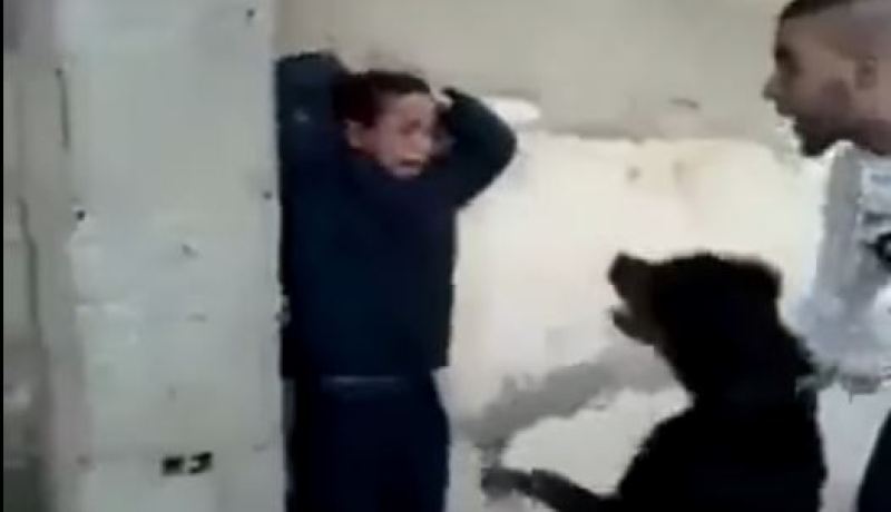 فيديو آخر لشاب يحرض كلب على نهش طفل صغير
