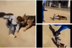 النيابة العامة لوهران تامر بفتح تحقيق حول ترويع الطفل ايمن