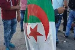 العلم الجزائري لإرهاب الصهاينة