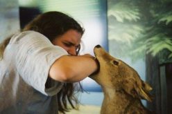 وفاة شخصان بسبب داء الكلب في ظرف أسبوع بعين تموشنت