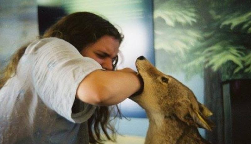 وفاة شخصان بسبب داء الكلب في ظرف أسبوع بعين تموشنت