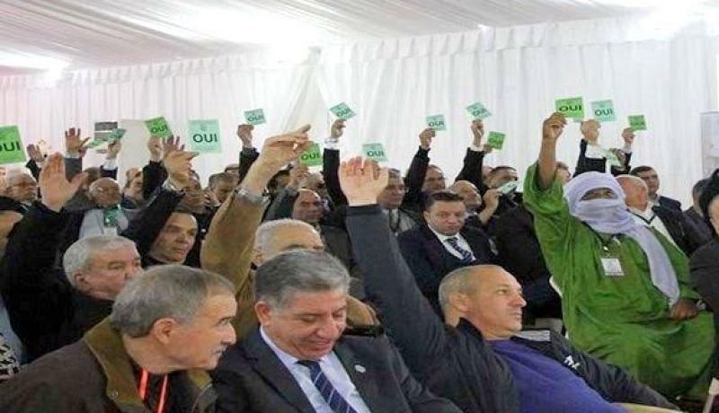 طعن جماعي لرؤساء الإتحاديات الرياضية ضد خروقات إنتخابات اللجنة الاولمبية