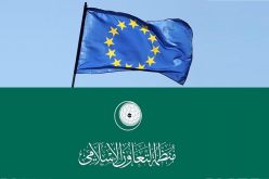 الاتحاد الأوروبي يبحث سبل توطيد الشراكة مع منظمة التعاون الإسلامي