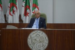 المعارضة تتجه نحو تقديم مرشح ينافس السعيد بوحجة