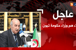 الرئيس بوتفليقة ينهي مهام 14 وزيرا ويعين 4 ولاة في حكومة تبون