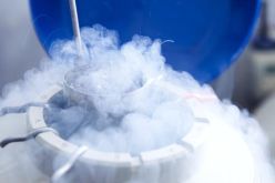 ندرة الأزواج تجمّد بويضات الأمريكيات!