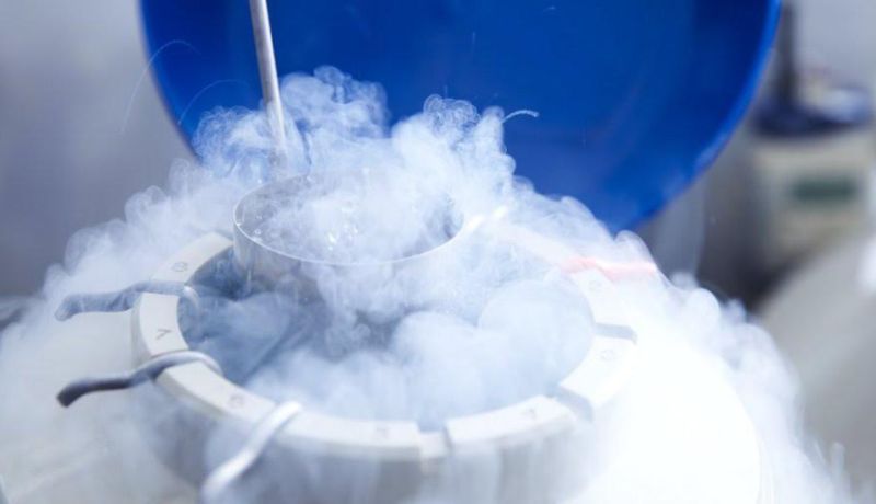 ندرة الأزواج تجمّد بويضات الأمريكيات!