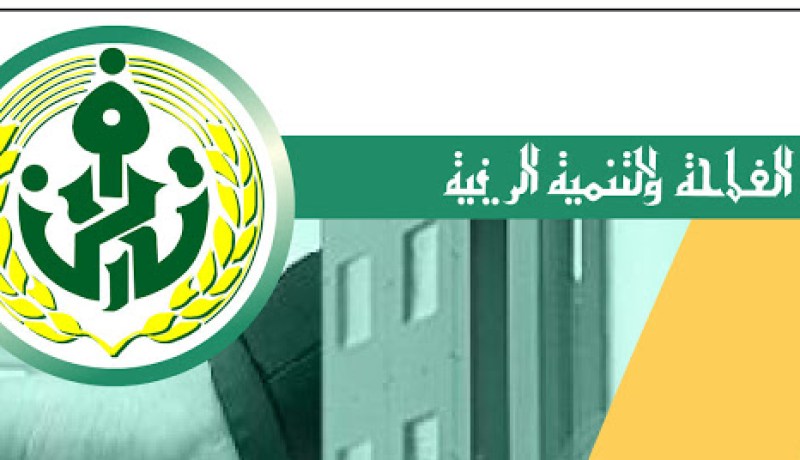 المدير السابق بوكالة بنك “بدر” ببئر خادم متهم بالتكتم عن الفساد في فضيحة التلاعب بأموال الصندوق