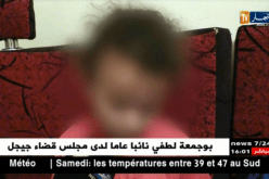 بالفيديو…إيقاف وحش الطارف والمطالبة بأقصى عقوبة