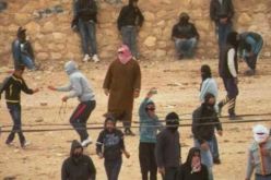 توقيف عضو بارز في حركة فخار متورط في أحداث غرداية بعنابة