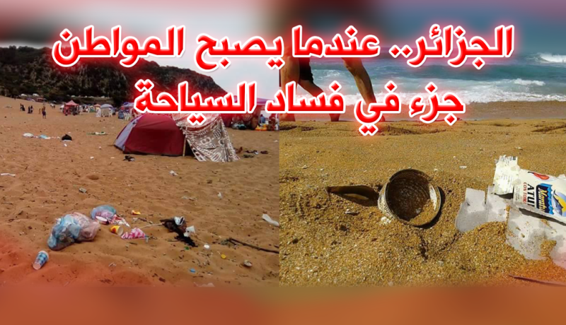 فيديو.. هذا ما تعاني منه شواطئ الجزائر