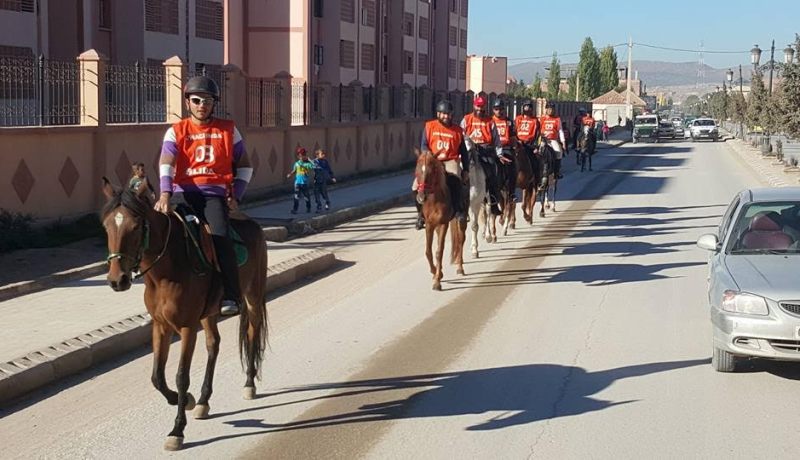 بالفيديو مبادرة مميزة قام بها فرسان القدرة والتحمل تخليدا للذكرى 61 لإندلاع الثورة