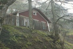 تخصيص 12 دربا طبيعيا لصالح البعثات العلمية بحظيرة الشريعة في البليدة