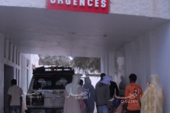 تسجيل 50 ألف إصابة و4 وفيات بالتسمم العقربي خلال سبعة أشهر