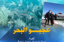 السفير الأمريكي بالجزائر معجب بجمال البحر في الجزائر العاصمة