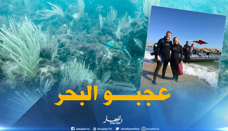 السفير الأمريكي بالجزائر معجب بجمال البحر في الجزائر العاصمة