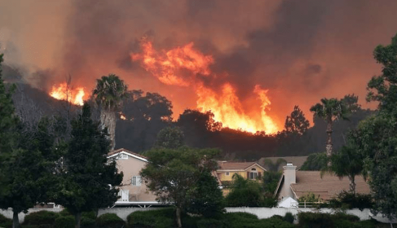 حريق يلتهم غابات كاليفورنيا