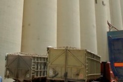 هكذا تكون الترقية في ديوان الحبوب