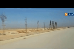 بالفيديو .. الشيخ النوي منبهر بالعاصمة الجديدة بوغزول